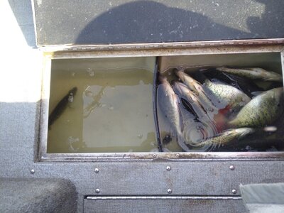 IMG_20251126_131221.jpg IMG_20251126_131221.jpg