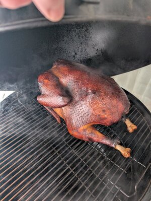 PXL_20251127_143017513.MP.jpg PXL_20251127_143017513.MP.jpg