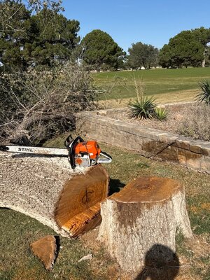 IMG_6345.jpeg IMG_6345.jpeg