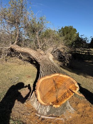 IMG_6341.jpeg IMG_6341.jpeg