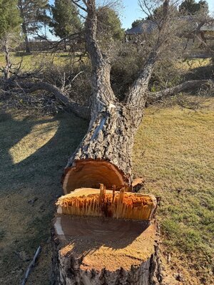 IMG_6321.jpeg IMG_6321.jpeg