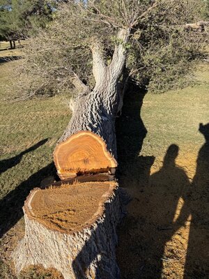 IMG_6319.jpeg IMG_6319.jpeg