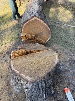 IMG_6317.jpeg IMG_6317.jpeg