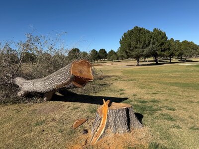 IMG_6312.jpeg IMG_6312.jpeg