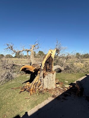 IMG_6309.jpeg IMG_6309.jpeg