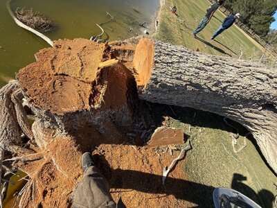 IMG_6300.jpeg IMG_6300.jpeg