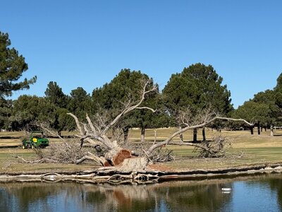 IMG_6303.jpeg IMG_6303.jpeg