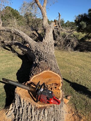 IMG_6302.jpeg IMG_6302.jpeg