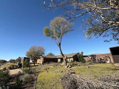 IMG_6289.jpeg IMG_6289.jpeg