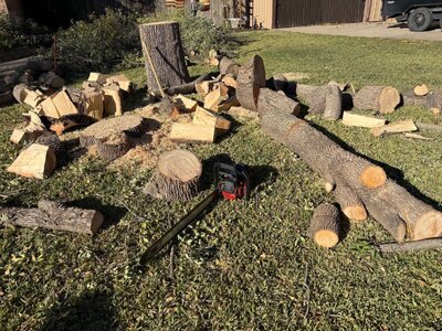 IMG_6293.jpeg IMG_6293.jpeg