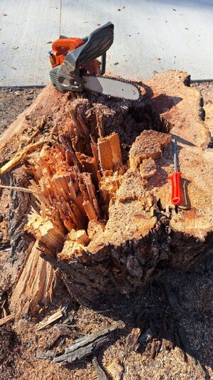 20251119_113435.jpg 20251119_113435.jpg