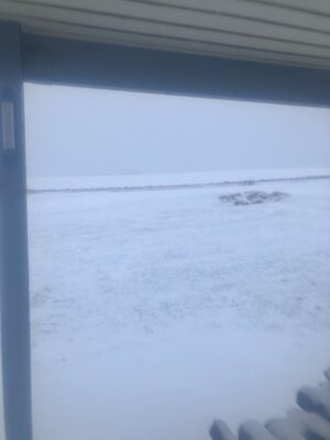 IMG_1804.jpeg IMG_1804.jpeg