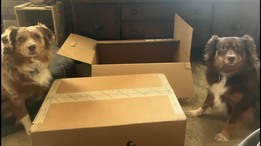 IMG_5212.png IMG_5212.png