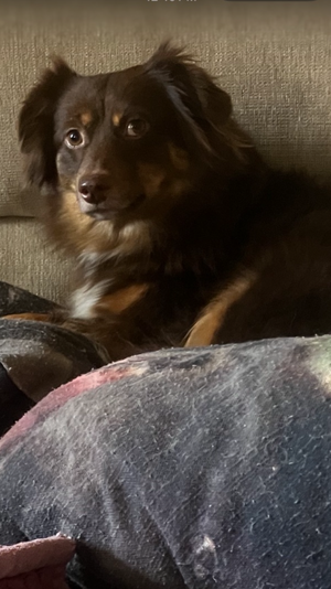 IMG_5213.png IMG_5213.png