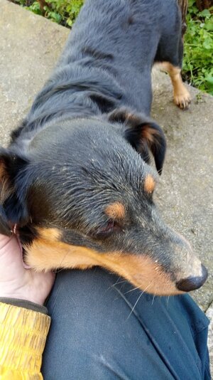 IMG_20251129_140730.jpg IMG_20251129_140730.jpg