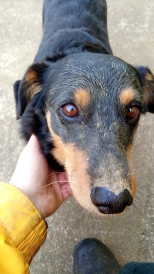 IMG_20251129_140843.jpg IMG_20251129_140843.jpg