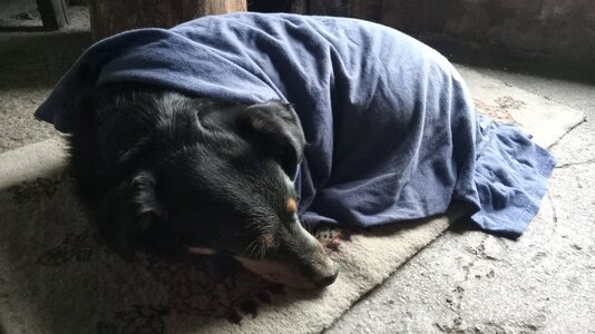 IMG_20251129_141741.jpg IMG_20251129_141741.jpg