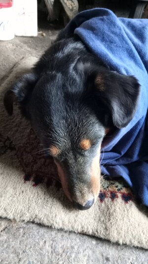 IMG_20251129_141749.jpg IMG_20251129_141749.jpg