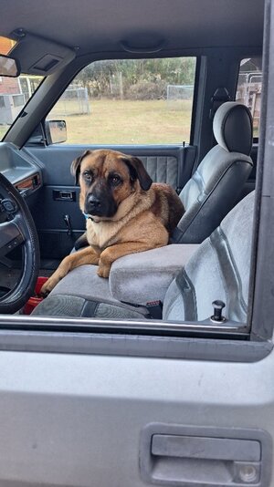 20251127_163444.jpg 20251127_163444.jpg