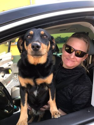 IMG-e22330a8a4161b9d837d36f2422a16ee-V.jpg IMG-e22330a8a4161b9d837d36f2422a16ee-V.jpg