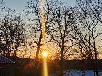 20251130_072008.jpg 20251130_072008.jpg