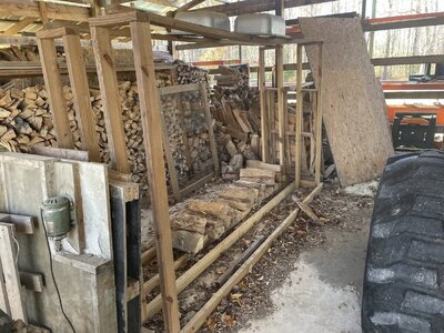 IMG_7244 (Large).JPG