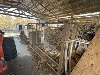 IMG_7246 (Large).JPG