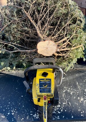 PM 850 Xmas tree.jpg