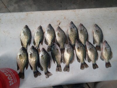 IMG_20251206_102250~2.jpg IMG_20251206_102250~2.jpg