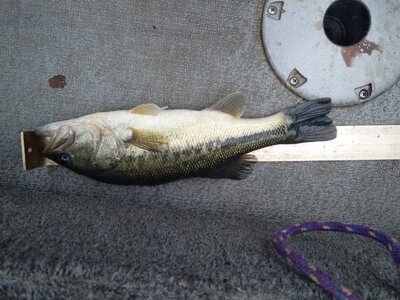 IMG_20251206_072852.jpg IMG_20251206_072852.jpg