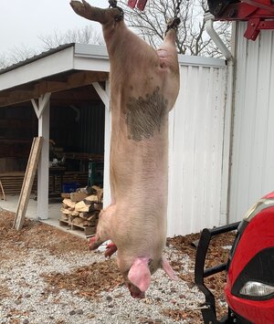 IMG_9184.jpeg IMG_9184.jpeg