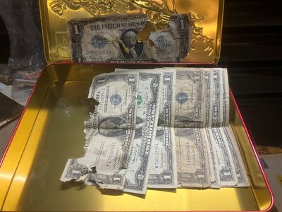 IMG_5298.jpeg IMG_5298.jpeg