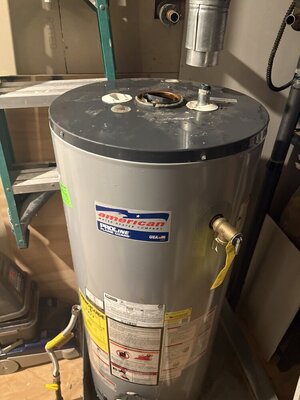 IMG_7491.jpeg IMG_7491.jpeg