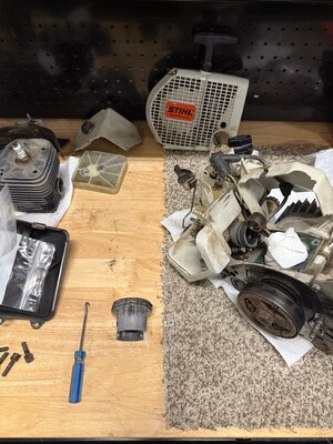 IMG_4156.jpeg IMG_4156.jpeg