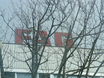 IMG_7505.jpeg IMG_7505.jpeg