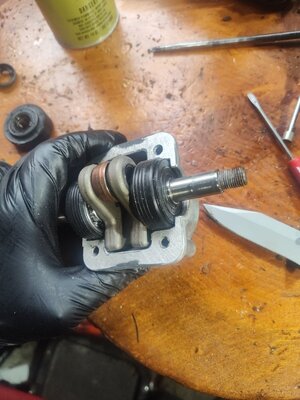 IMG_20251212_143805526.jpg IMG_20251212_143805526.jpg