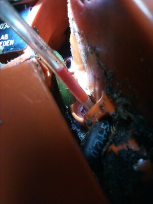 IMG_20250322_190525_663.jpg IMG_20250322_190525_663.jpg