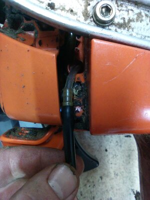 IMG_20250322_191054_572.jpg IMG_20250322_191054_572.jpg