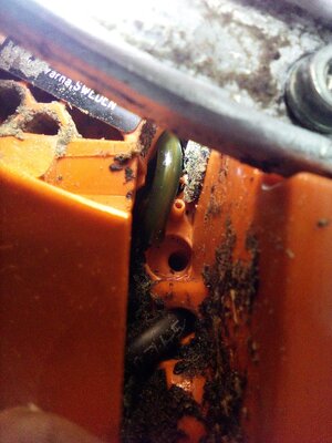 IMG_20250322_185425_354.jpg IMG_20250322_185425_354.jpg