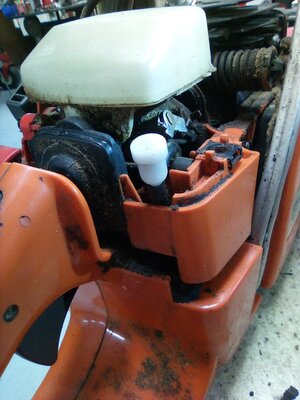 IMG_20250322_191402_433.jpg IMG_20250322_191402_433.jpg