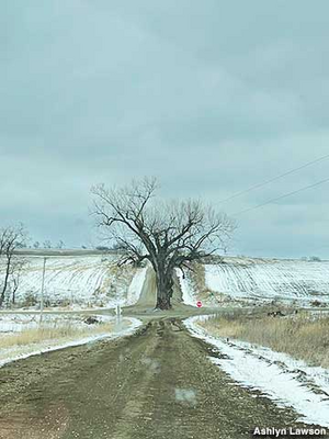 1765647468942.png 1765647468942.png