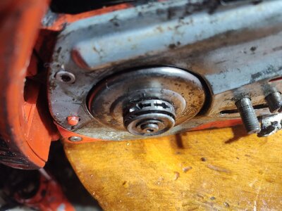 IMG_20251213_204304246.jpg IMG_20251213_204304246.jpg