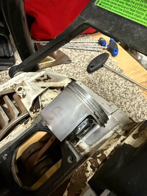 IMG_4212.jpeg IMG_4212.jpeg