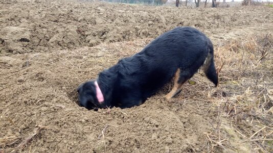 IMG_20251214_090122.jpg IMG_20251214_090122.jpg