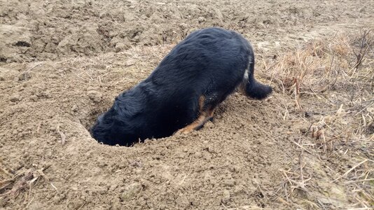 IMG_20251214_090702.jpg IMG_20251214_090702.jpg