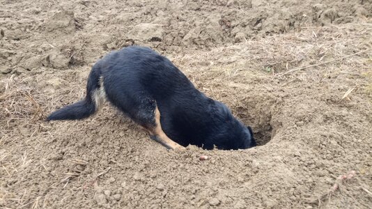 IMG_20251214_091520.jpg IMG_20251214_091520.jpg