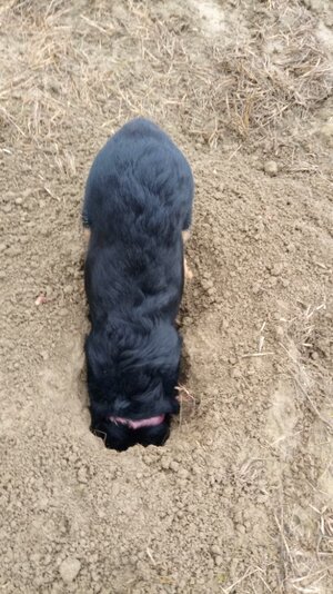 IMG_20251214_091541.jpg IMG_20251214_091541.jpg