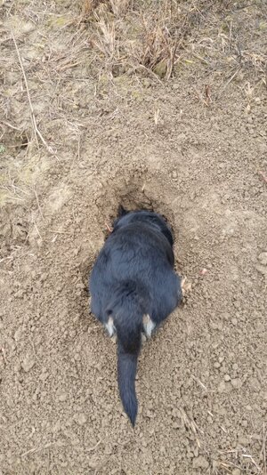 IMG_20251214_091606.jpg IMG_20251214_091606.jpg