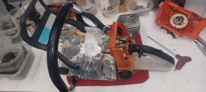 1000013667.jpg 1000013667.jpg