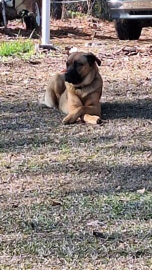 20251213_104247.jpg 20251213_104247.jpg